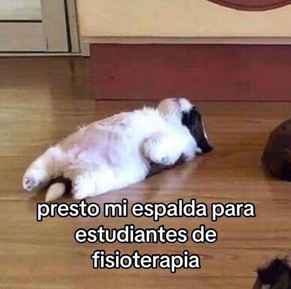 FraseSimple's tweet photo. https://t.co/59XmAsONpr