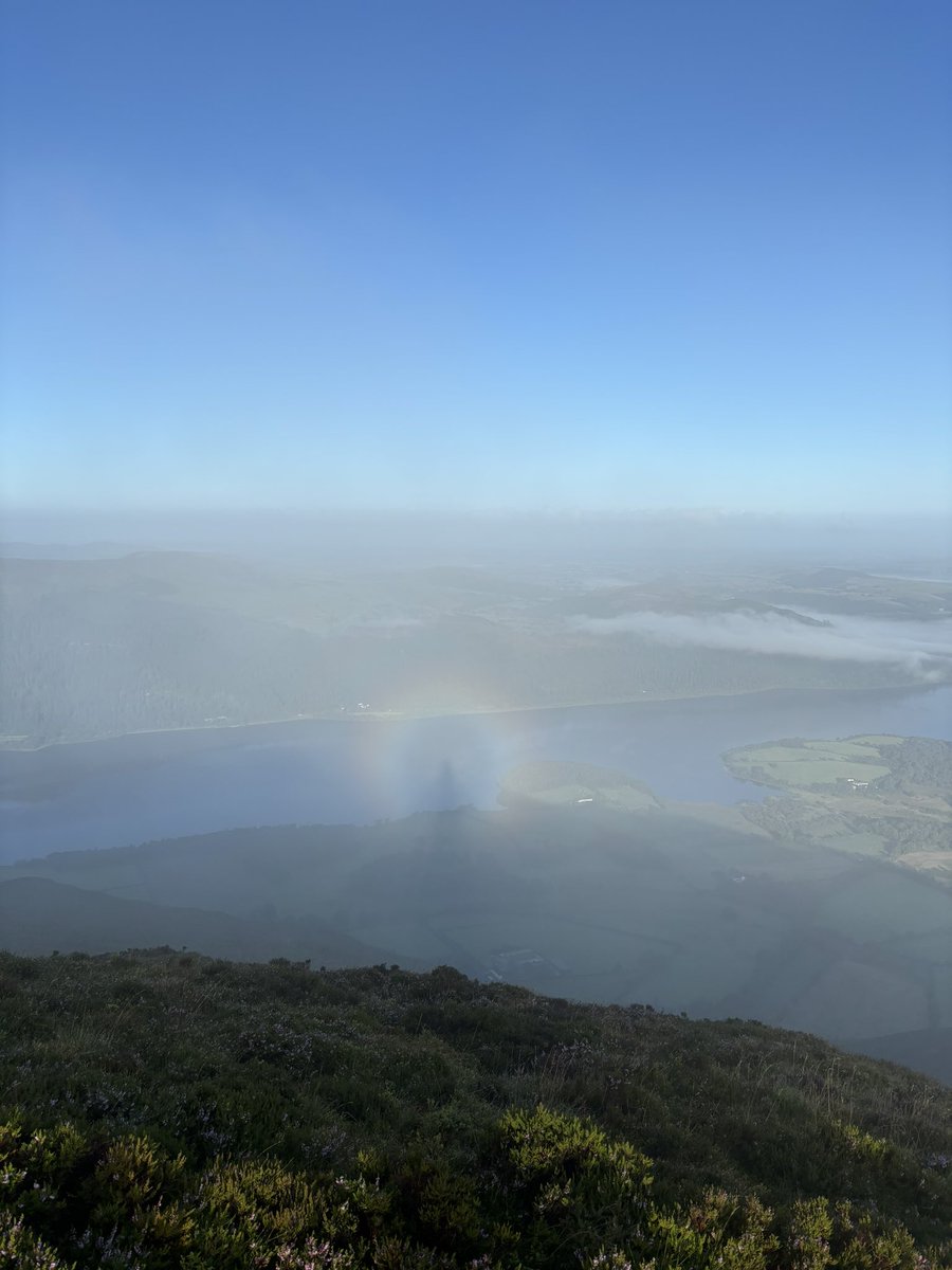 Tom Larkin 🇺🇦 tweet media