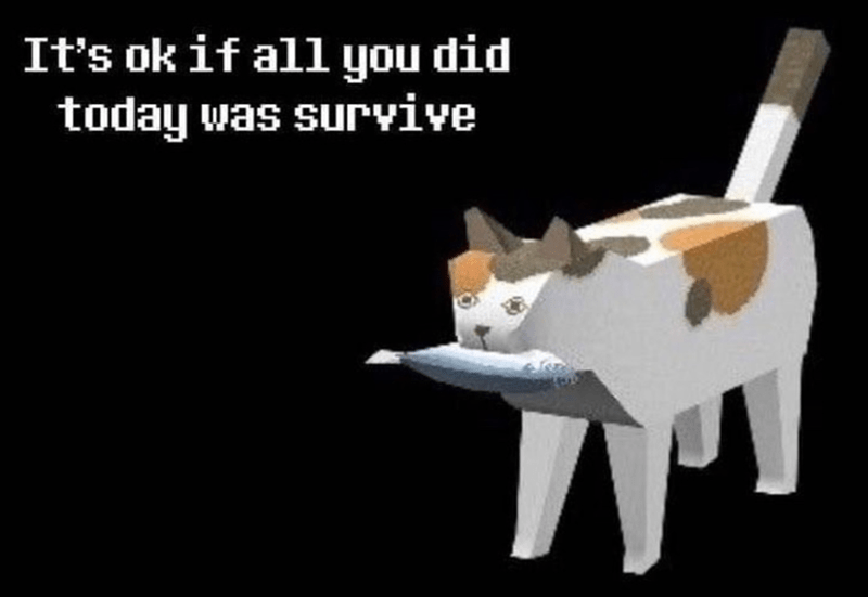 RespectfulMemes's tweet photo. https://t.co/WesyNI58qJ