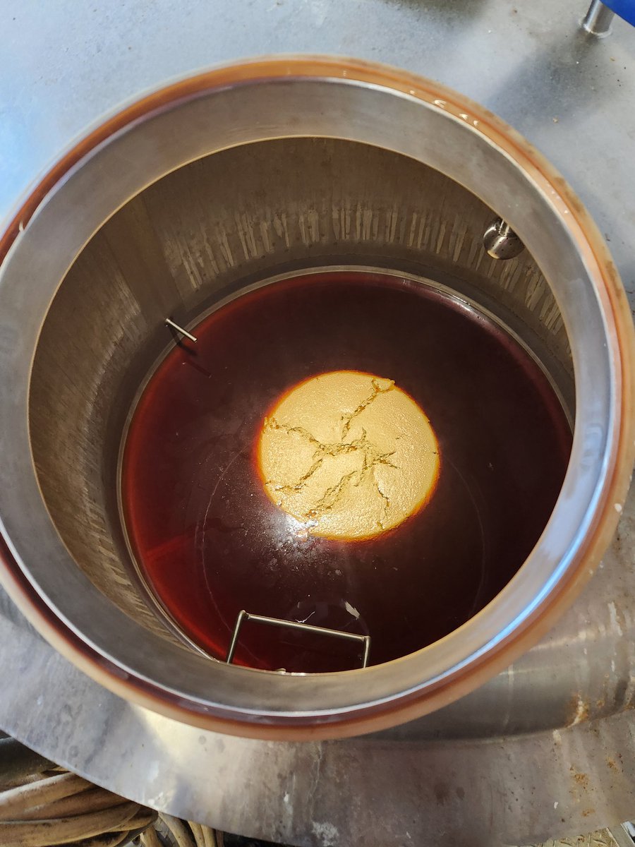 More Oktoberfest going to the fermentors. This'll make it 225bbl on the year. Will it be the last brew for the season? Or should we do more?