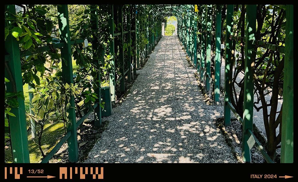 hansonmusic's tweet photo. It’s easy to take in the beauty when it’s wrapped around you. Inspiring sounds may come from this green pathway. https://t.co/Eo41TW97Zk