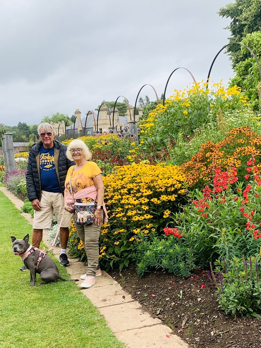 Isa Mary tweet media