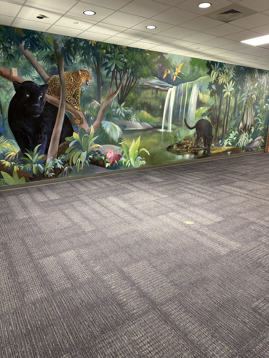 Very soon our MDJH panther students will fill these halls with excitement, joy, and anticipation. Our job is to continue to keep that momentum going and propel our students towards success.
Let’s do this MDJH💜