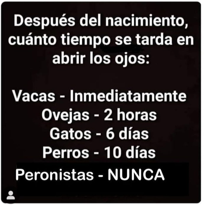 gauchotaso's tweet photo. @SergioChouza https://t.co/Uj1WHtUmhb