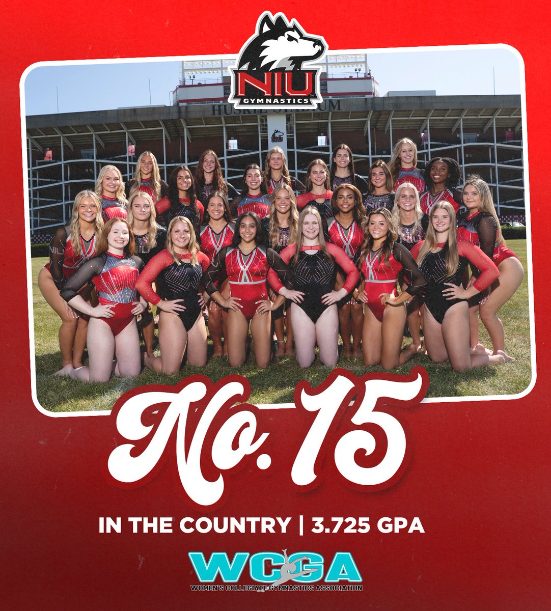 NIU Gymnastics tweet media