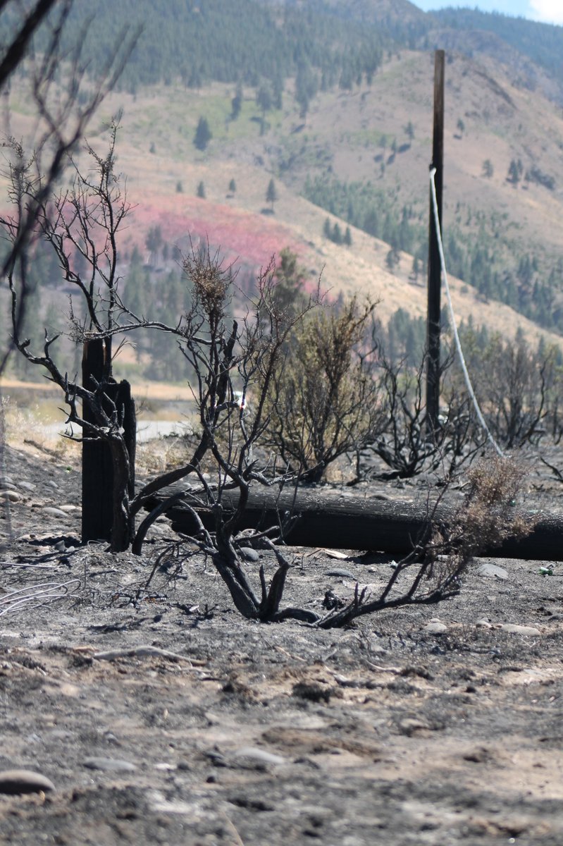 OurTownReno's tweet photo. The City of Reno shared these photos with media this morning, reporting that as of last night the containment of the 657 acre Gold Ranch Fire increased “dramatically to 80%.” #goldranchfire https://t.co/qfHzQZWUuP