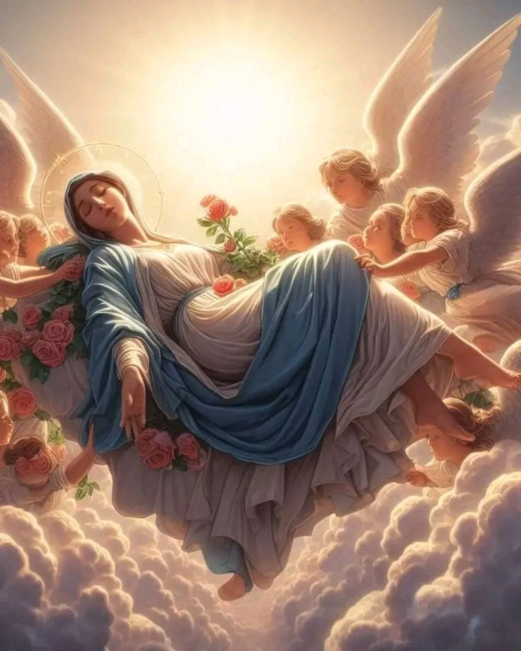 InVeritateX's tweet image. “Noi pronunziamo, dichiariamo e definiamo essere dogma da Dio rivelato che: l’Immacolata Madre di Dio sempre Vergine Maria, terminato il corso della vita terrena, fu assunta alla gloria celeste in anima e corpo”.
Papa Pio XII
#Assunta