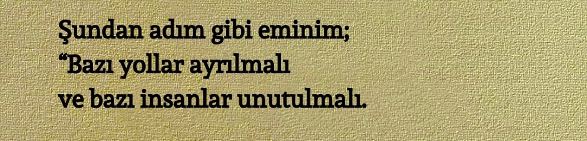 sᴇɴsɪᴢ ʜᴀᴛıʀᴀ (@sensizhatiram) on Twitter photo 