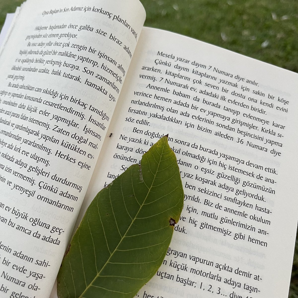 Eysh1a's tweet photo. 🌿 d ü n y a . . . 
🍂 1 4 . 0 8 . 2 0 2 4 https://t.co/33wtp9uzD9