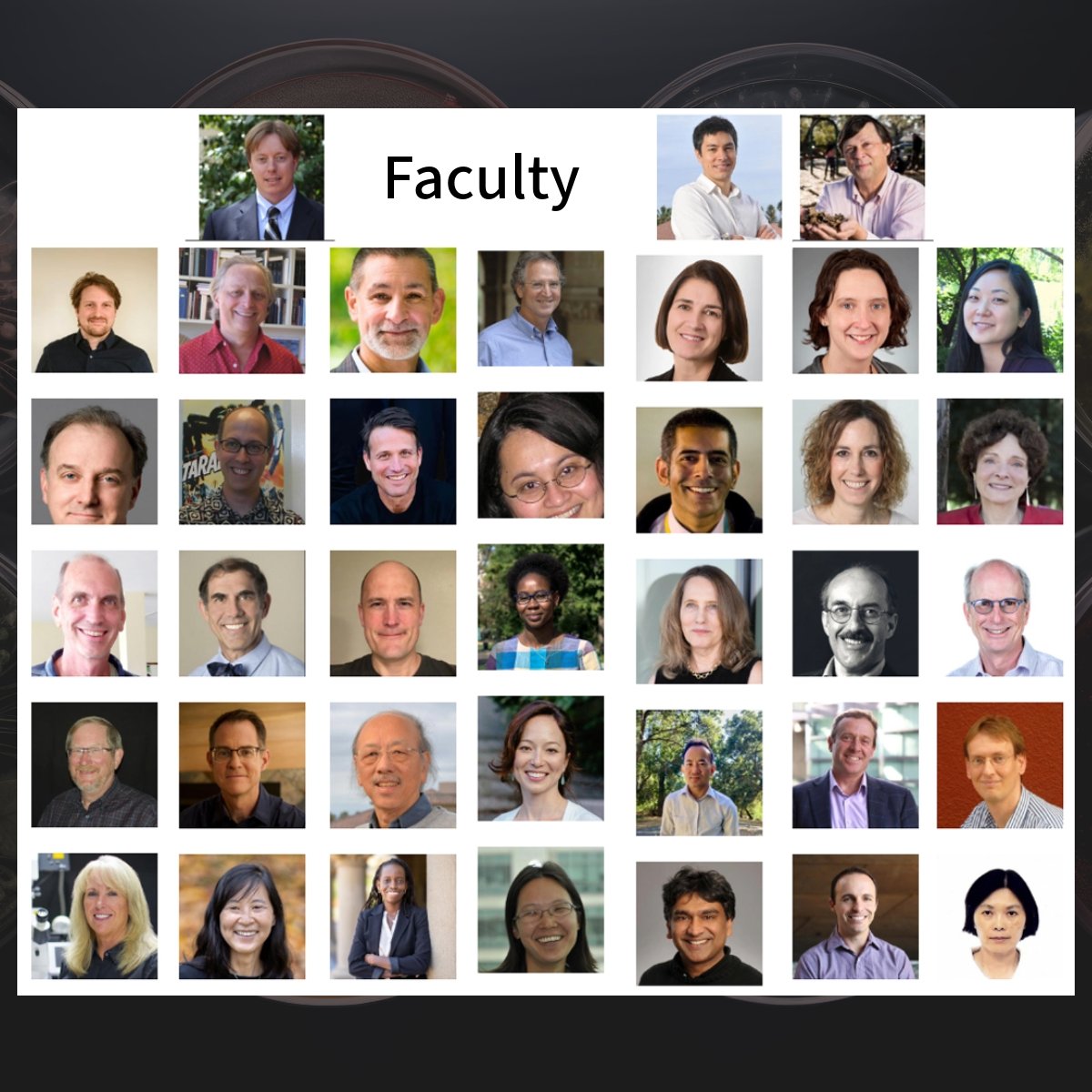 StanfordBiosci's tweet photo. Stanford Biosciences is comprised of 14 home programs. In our #HomeProgramSeries we will be taking a peek at the different departments. Swipe ➡️ to learn about our #MicrobiologyAndImmunology program and faculty. For a #DeepDive visit their website: https://t.co/xVW30NxuTW https://t.co/0gdG0lRKEL