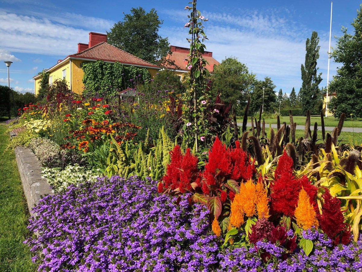 Huomenna avataan Lepaa 60-vuotta juhlanäyttely! 🎉

Puutarha-alan paras ammattinäyttely järjestetään 15.–17. 8. Näyttely on avoinna torstaista perjantaihin kello 10–17 ja lauantaina kello 10–16.

Kaiken näyttelystä löydät Lepaan näyttelyoppaasta: puutarhakauppalehti.smartpage.fi/nayttelyopas-2…