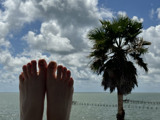 Watching dolphins and sipping Prosecco. 🌴 https://t.co/LdKW5IPmH0<a href="/tag/throne"class="tags"><span>#throne</span></a><a href="/tag/wishlist"class="tags"><span>#wishlist</span></a>