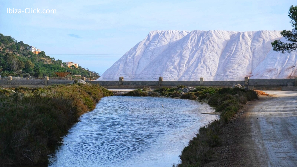 IbizaClick's tweet photo. SES SALINES, LA MARAVILLA DEL SUR
https://t.co/I2E9WR3ZI8
Ses Salines es otra de las siete maravillas de Ibiza que Carlos Garrido nos muestra en el programa de TvClick.
#7maravillasibiza #SesSalines #TvClick #IbizaClick #agendaibiza #ocioibiza #culturaibiza https://t.co/0hVmLClrHL