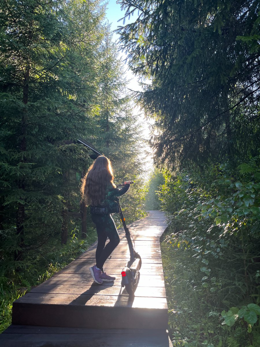 Gm/gn 🐈

Exploring the wild 🌲🌳🛴