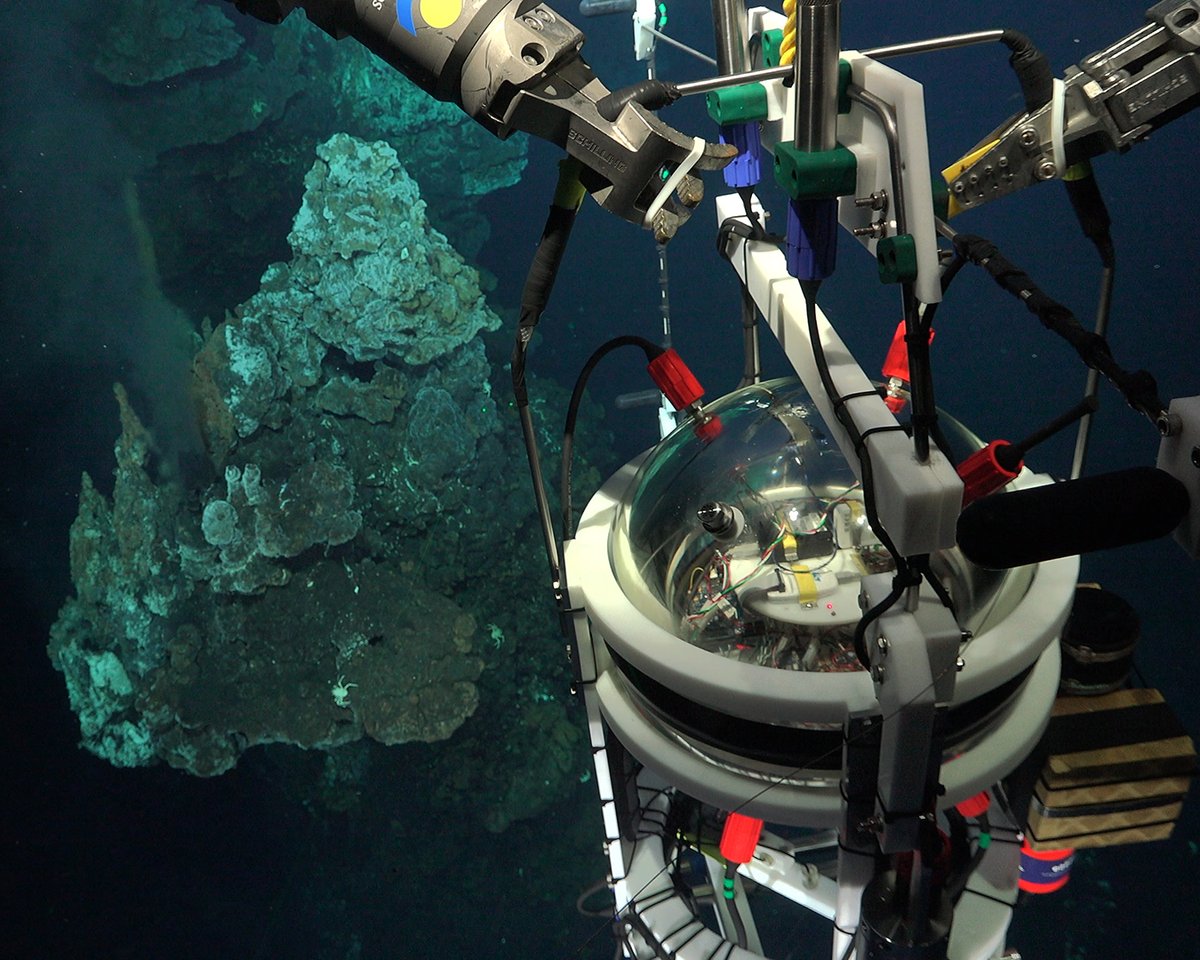 Charles Darwin Foundation-Fundación Charles Darwin tweet media