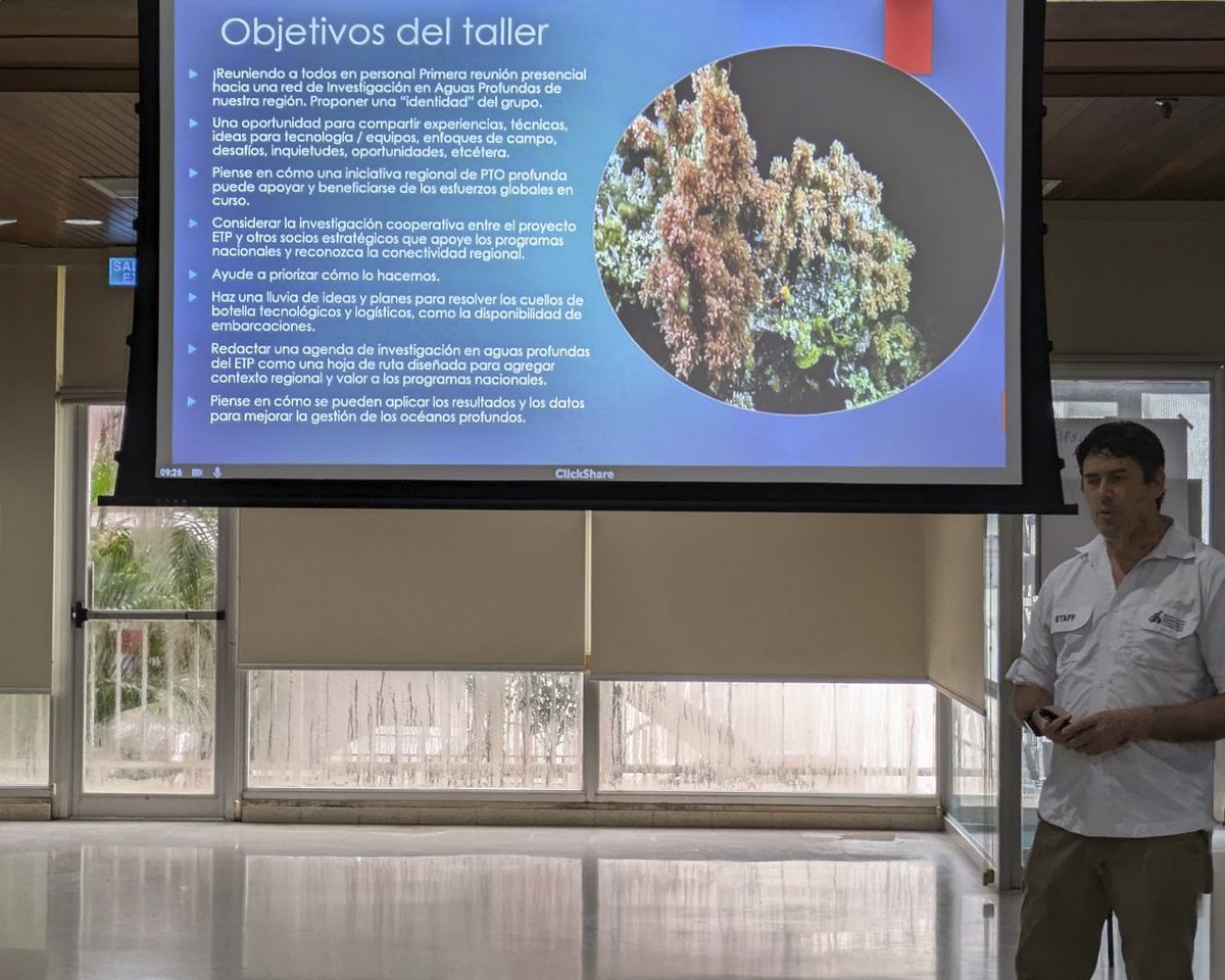 Charles Darwin Foundation-Fundación Charles Darwin tweet media