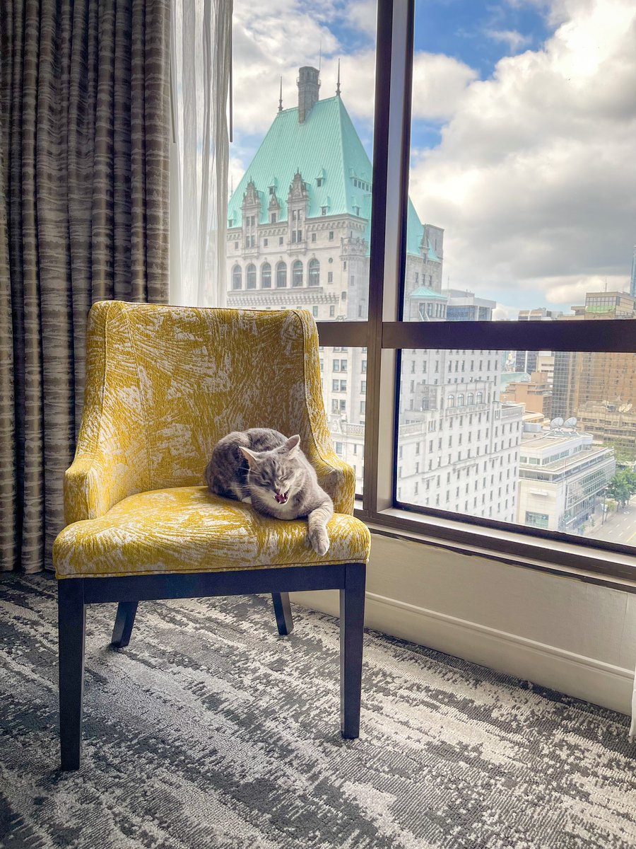 𝘉𝘪𝘭𝘭𝘺 𝘍𝘰𝘹 tweet media