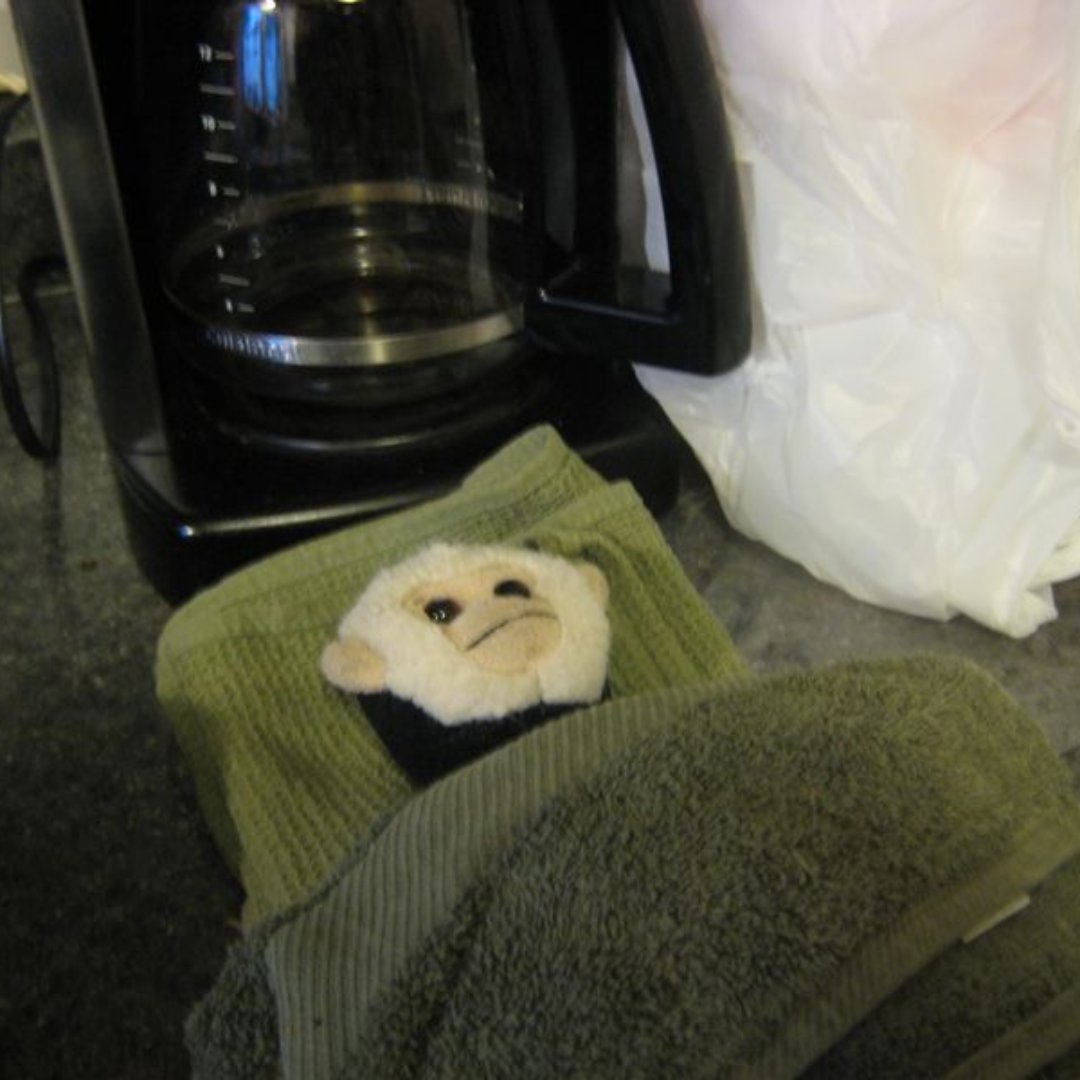 Student_Saviour's tweet image. Me trying to sleep tonight knowing A Level results day is tomorrow.

#AlevelResults2024 #alevels2024 #alevelresultsday2024