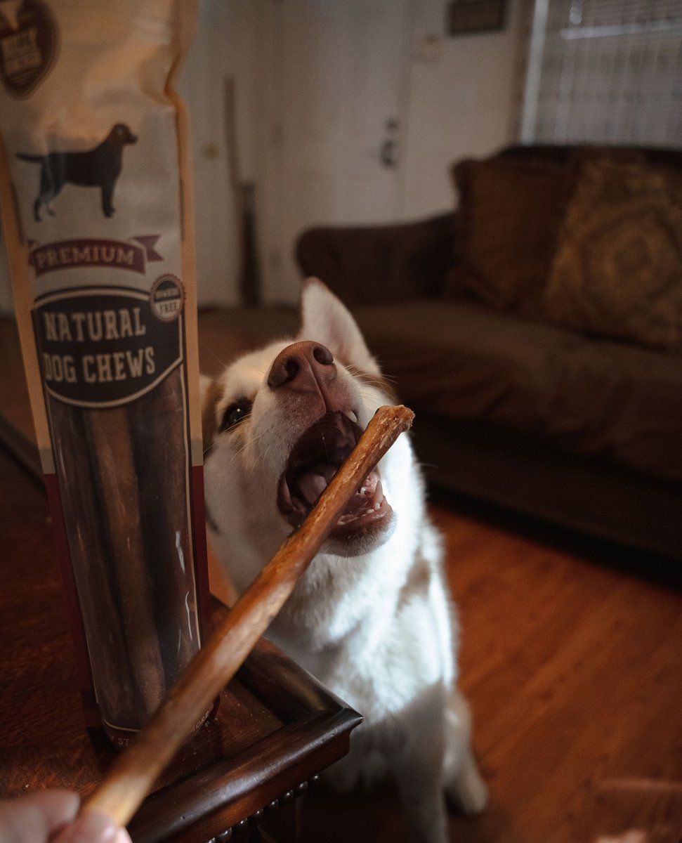 BullyBunches's tweet photo. Before ๐ฅบ vs After ๐
๐ : @ourcozyventures
#dogsoftwitter #twitterdogcommunity #twitterdogs #dogs #bullybunches #bullystick https://t.co/4GNtCCZAZz