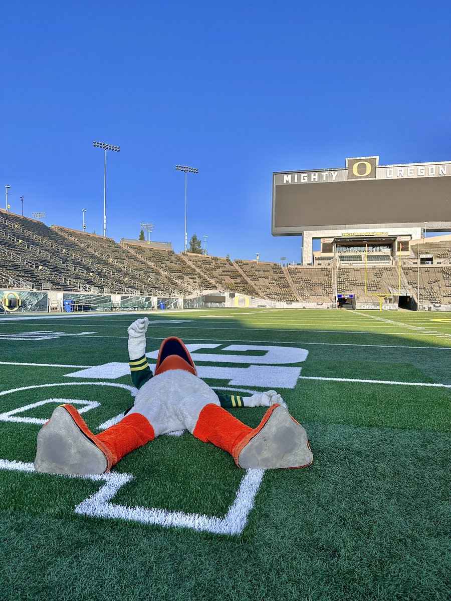 TheOregonDuck's tweet photo. in. https://t.co/LyTpT5Z1bF