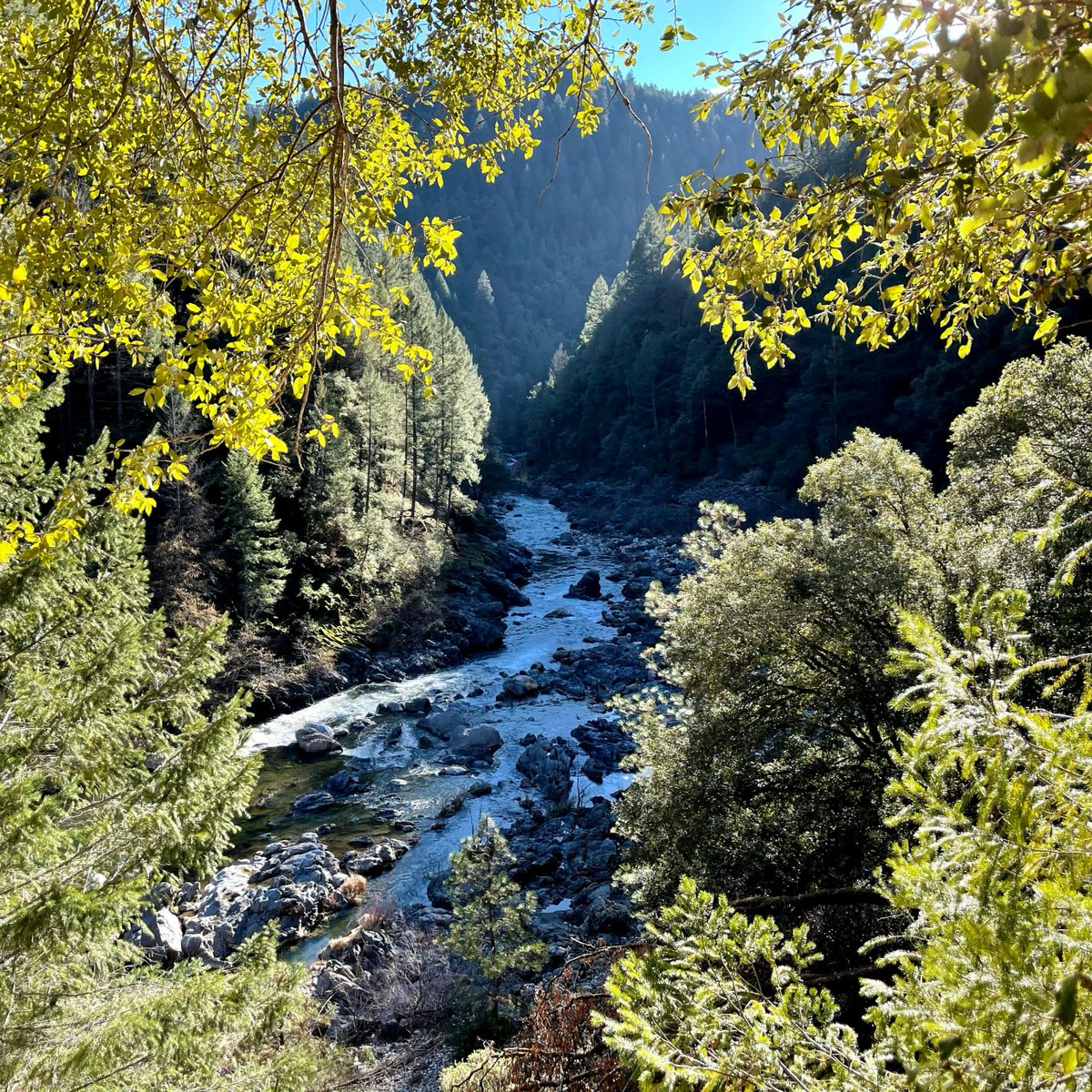 Brondell, Inc tweet media