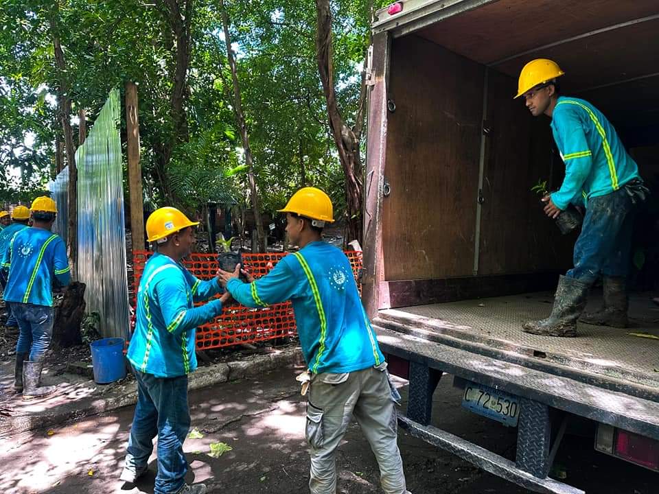 🌿 Promoviendo un Futuro Verde 🌿

Como Área de Gestión Ambiental de La <a href="/AsambleaSV/">Asamblea Legislativa 🇸🇻</a>, hemos atendido la solicitud del Diputado <a href="/WalterAlemanSV/">Walter Aleman</a> para apoyar la reforestación en el Complejo Educativo Eduardo Guirola, Melara, La Libertad Costa.🌱