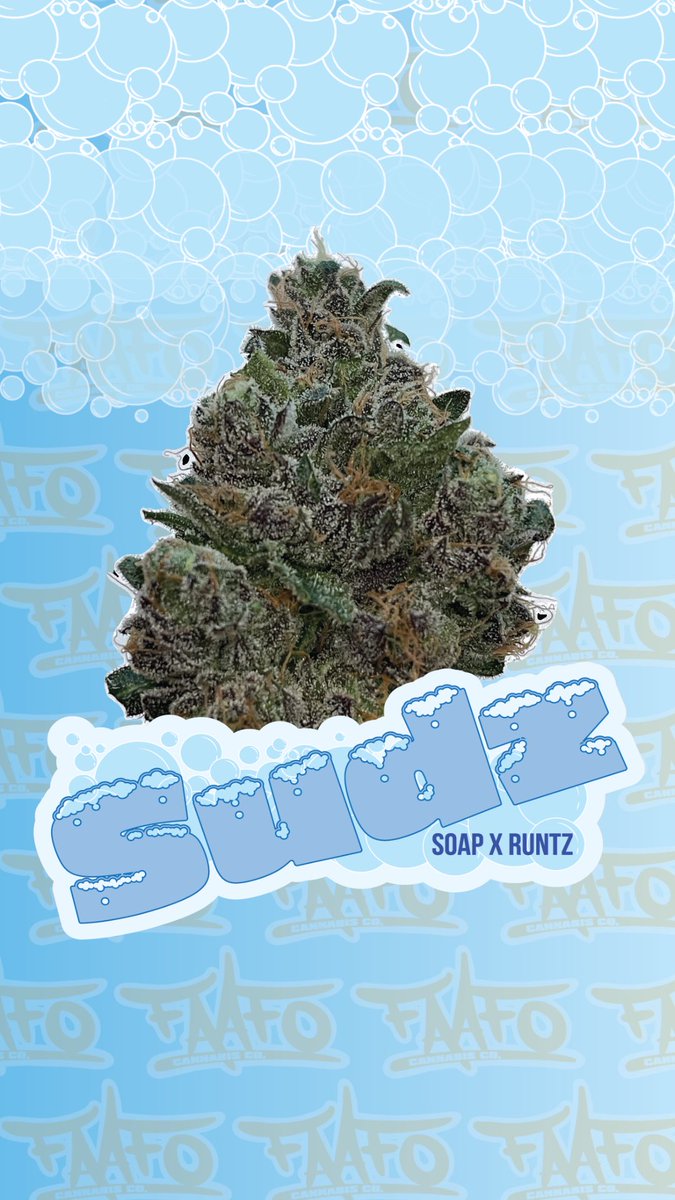 Fresh drops from FAAFO now live on the BCLDB🔥 Death Bubba Kush (Death Star x Bubba Kush) and Sudz (Soap x Runtz) In 3.5g format 😎