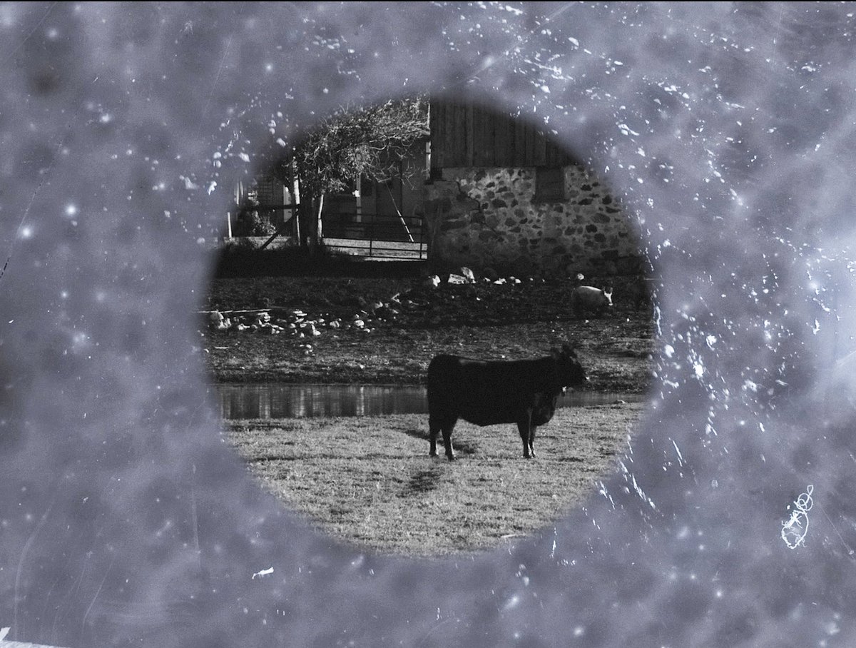 canyoncinema's tweet image. Canyon Cinema is pleased to announce the acquisition of four recent handmade films by longtime artist member Philip Hoffman.

Info: canyoncinema.com/2024/08/14/now…

Stay tuned for details about a Canyon Cinema Salon with Hoffman this September!