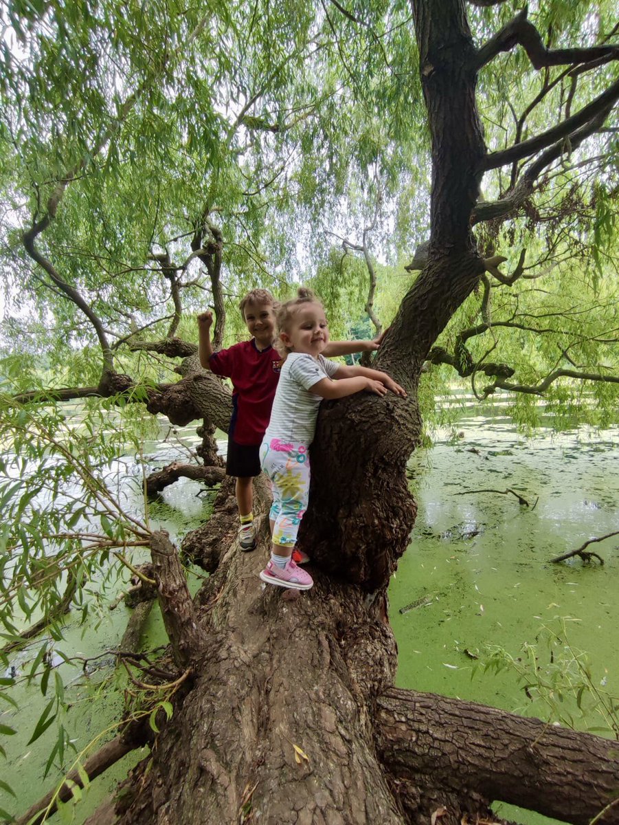 Anna Ogonowska-Slodownik🇵🇱 (@anna_slod) on Twitter photo My family is raising funds for <a href="/KITE_UHN/">KITE Research Institute</a> & <a href="/TRI_UHN/">Follow @KITE_UHN and @TorontoRehab</a> by taking part in the 2024 Rally for Rehab (Sept 8). Kids are getting ready!
To help raise funds, please go to: support.uhnfoundation.ca/site/TR/Person… My family is raising funds for <a href="/KITE_UHN/">KITE Research Institute</a> & <a href="/TRI_UHN/">Follow @KITE_UHN and @TorontoRehab</a> by taking part in the 2024 Rally for Rehab (Sept 8). Kids are getting ready!
To help raise funds, please go to: support.uhnfoundation.ca/site/TR/Person…
