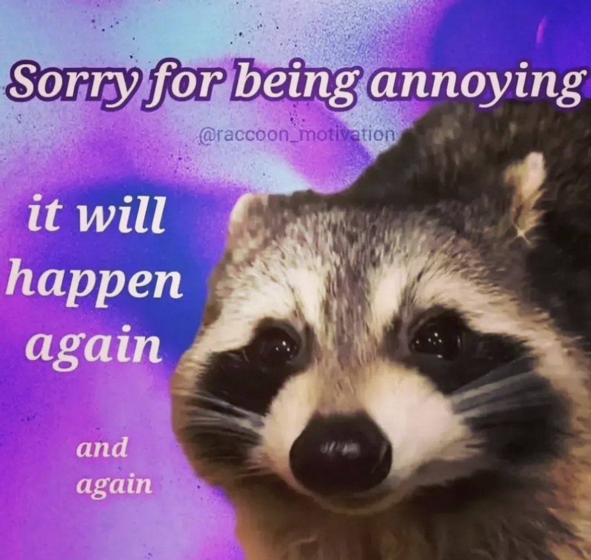raccoonesthetic's tweet photo. https://t.co/ArnXtCsq8i