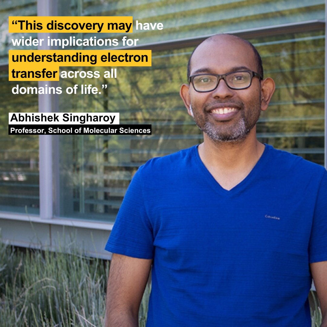 ASU School of Molecular Sciences (@asu_sms) on Twitter photo SMS's own <a href="/abhisekhsingha1/">Abhishek Singharoy</a> recently published research in the Journal of the American Chemical Society titled Single-Molecule Detection of the Encounter and Productive Electron Transfer Complexes of a Photosynthetic Reaction Center. Read more: pubs.acs.org/doi/10.1021/ja… SMS's own <a href="/abhisekhsingha1/">Abhishek Singharoy</a> recently published research in the Journal of the American Chemical Society titled Single-Molecule Detection of the Encounter and Productive Electron Transfer Complexes of a Photosynthetic Reaction Center. Read more: pubs.acs.org/doi/10.1021/ja…