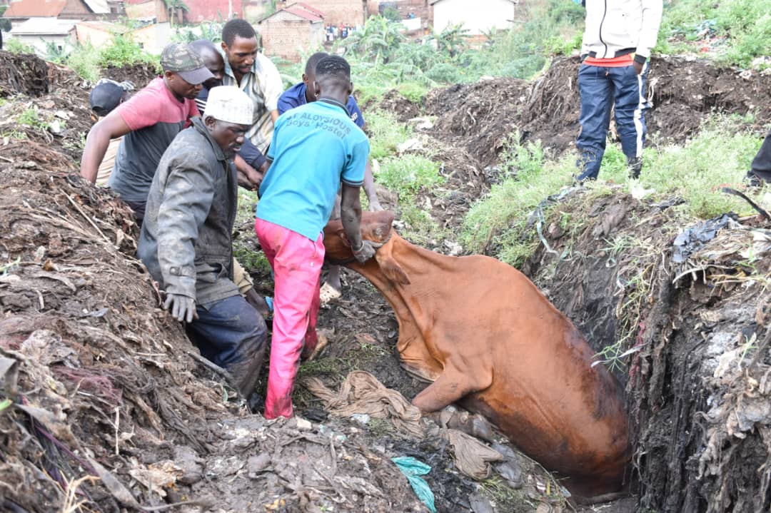 Engineering Advice
 
 As humanitarian engineers, our hearts go out to the victims of kiteezi disaster we offer condolences and are ready to offer advice to improve waste management practices to prevent similar disasters
Let's work towards a safer and more resilient future for all