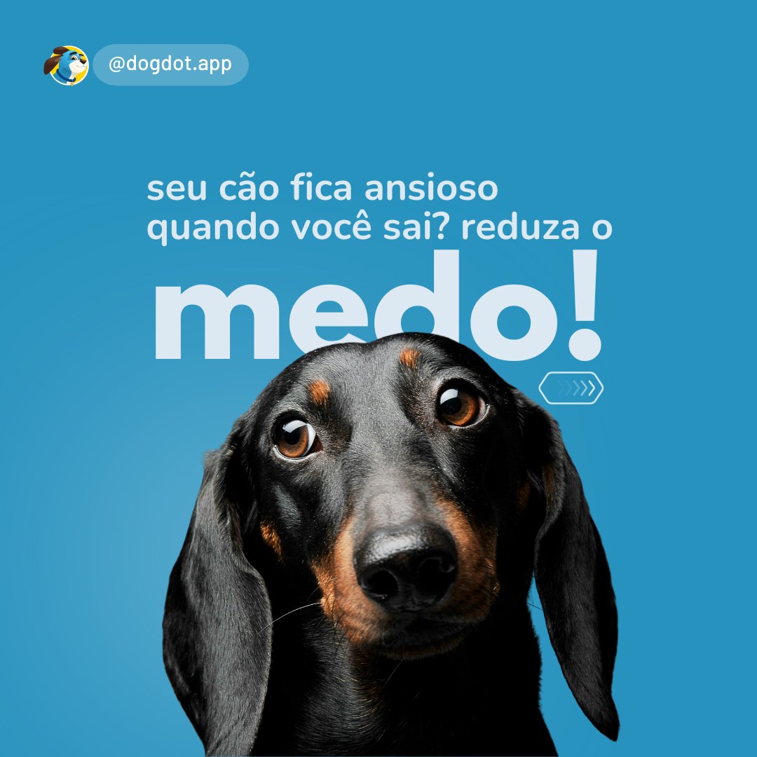 DogDot_app's tweet photo. A saída de casa não precisa ser estressante. Com paciência, você pode ajudá-lo a se sentir mais seguro. Passear antes de sair é uma ótima dica! O exercício físico e mental ajuda a reduzir a ansiedade, deixando-o mais relaxado.#dogdotapp #cachorro #adestramento #treinamento #dicas https://t.co/RT7xaR4qRu