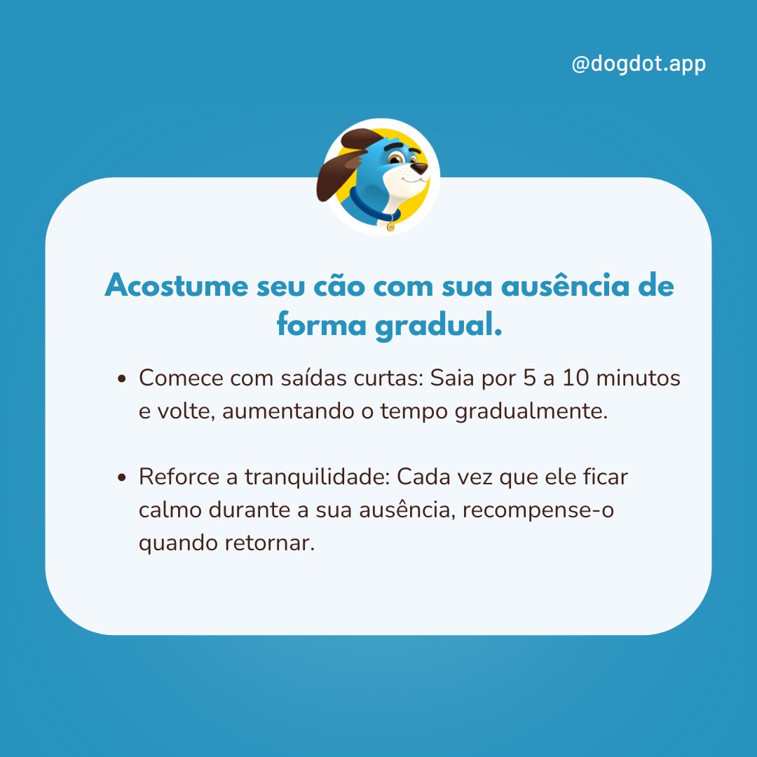 DogDot_app's tweet photo. A saída de casa não precisa ser estressante. Com paciência, você pode ajudá-lo a se sentir mais seguro. Passear antes de sair é uma ótima dica! O exercício físico e mental ajuda a reduzir a ansiedade, deixando-o mais relaxado.#dogdotapp #cachorro #adestramento #treinamento #dicas https://t.co/RT7xaR4qRu