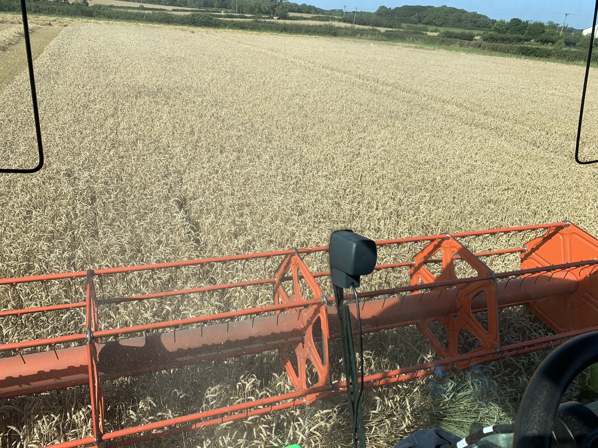 Andrew Robinson tweet media