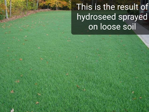 rocksnroots's tweet photo. HYDRO SEED or HYDRO MULCH
Call it what you will, it's the superhero of lawn care! Perfect for starting a lush lawn, battling erosion, or bringing life to lackluster land. Cost 1/2 the price of sod 💵Machines for RENT in Macomb/Oakland MI #grass #seed #hydroseed #hydrograss #sod https://t.co/6vYf9KZ78x