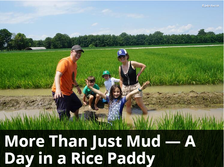 WWF Sustainability Works tweet media