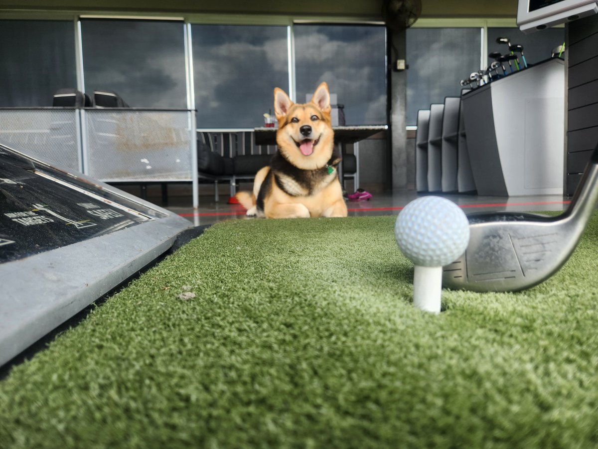 Great time <a href="/Topgolf/">Topgolf</a> yesterday!