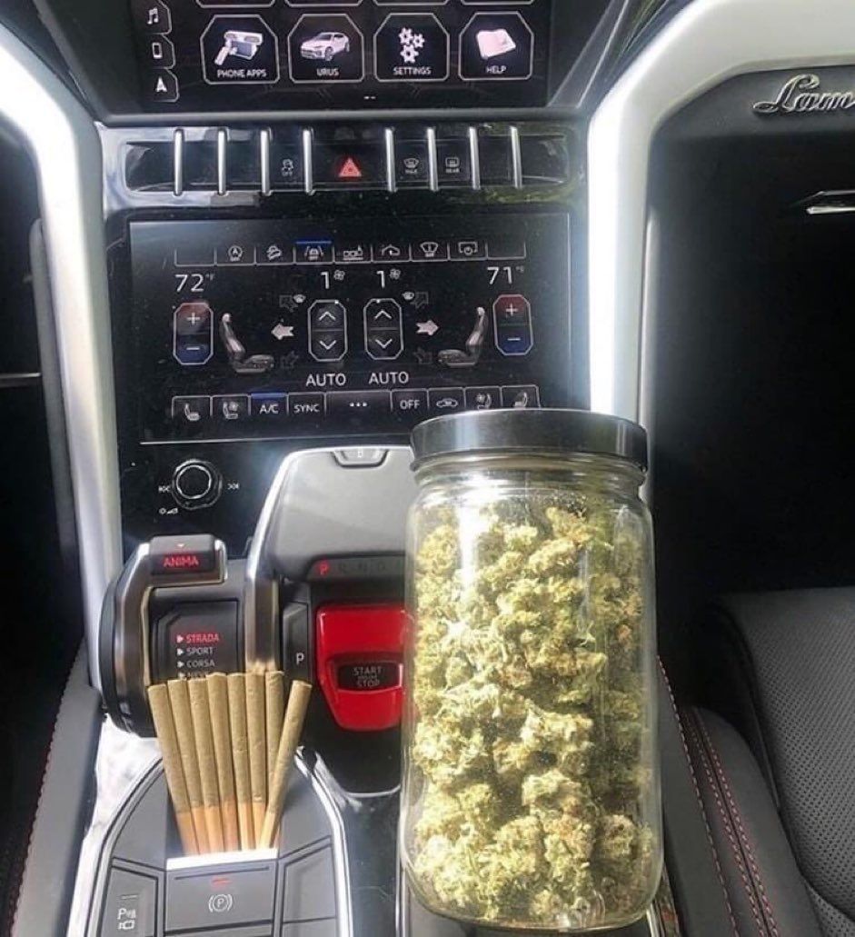 Weed Porn tweet media