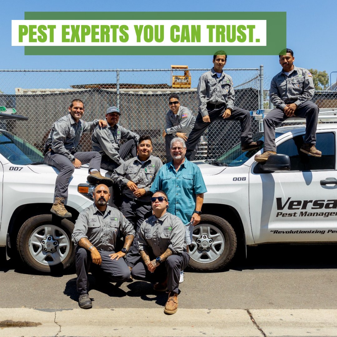 VersaTechPM's tweet photo. Are you looking for trusted #pestremoval services in Los Angeles County? Versa-Tech® is here for you with trusted, pest &amp; rodent removal solutions you can count on. Get your free quote &amp; protect what matters most at (888) 429-1213. #rodentcontrol #pestcontrol #VersaTechPM #pests https://t.co/WLv9eVMIEK