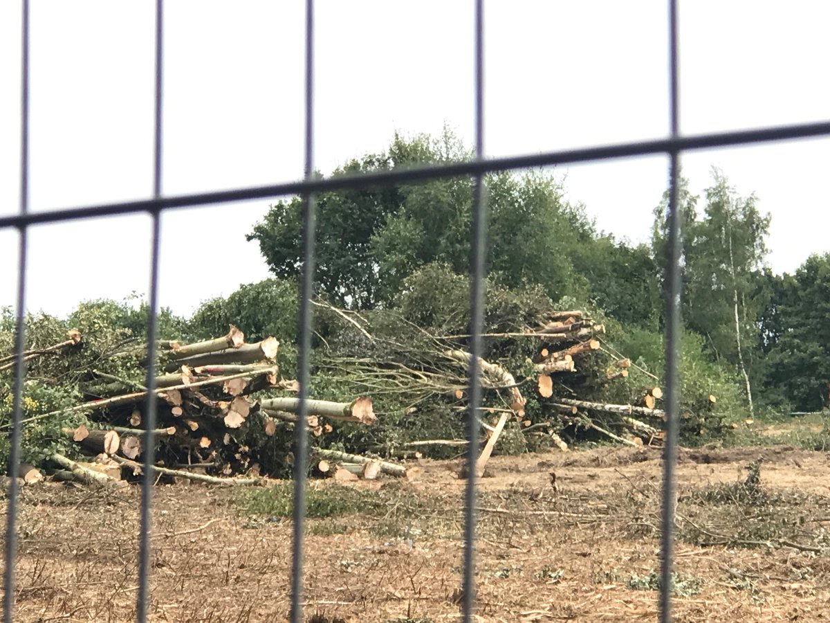 Save Rose Hill Bessacarr🍃💚🍃 #NatureInMyBackyard (@save_rose_hill) on Twitter photo Woodland habitat at RoseHill destroyed, piles of dead trees, a public green space turned into a fenced-off lifeless wasteland. This is the truth behind <a href="/MyDoncaster/">City of Doncaster Council</a> tree policy & their claim to protect green space, nature and the environment. Those responsible should be ashamed. Woodland habitat at RoseHill destroyed, piles of dead trees, a public green space turned into a fenced-off lifeless wasteland. This is the truth behind <a href="/MyDoncaster/">City of Doncaster Council</a> tree policy & their claim to protect green space, nature and the environment. Those responsible should be ashamed.