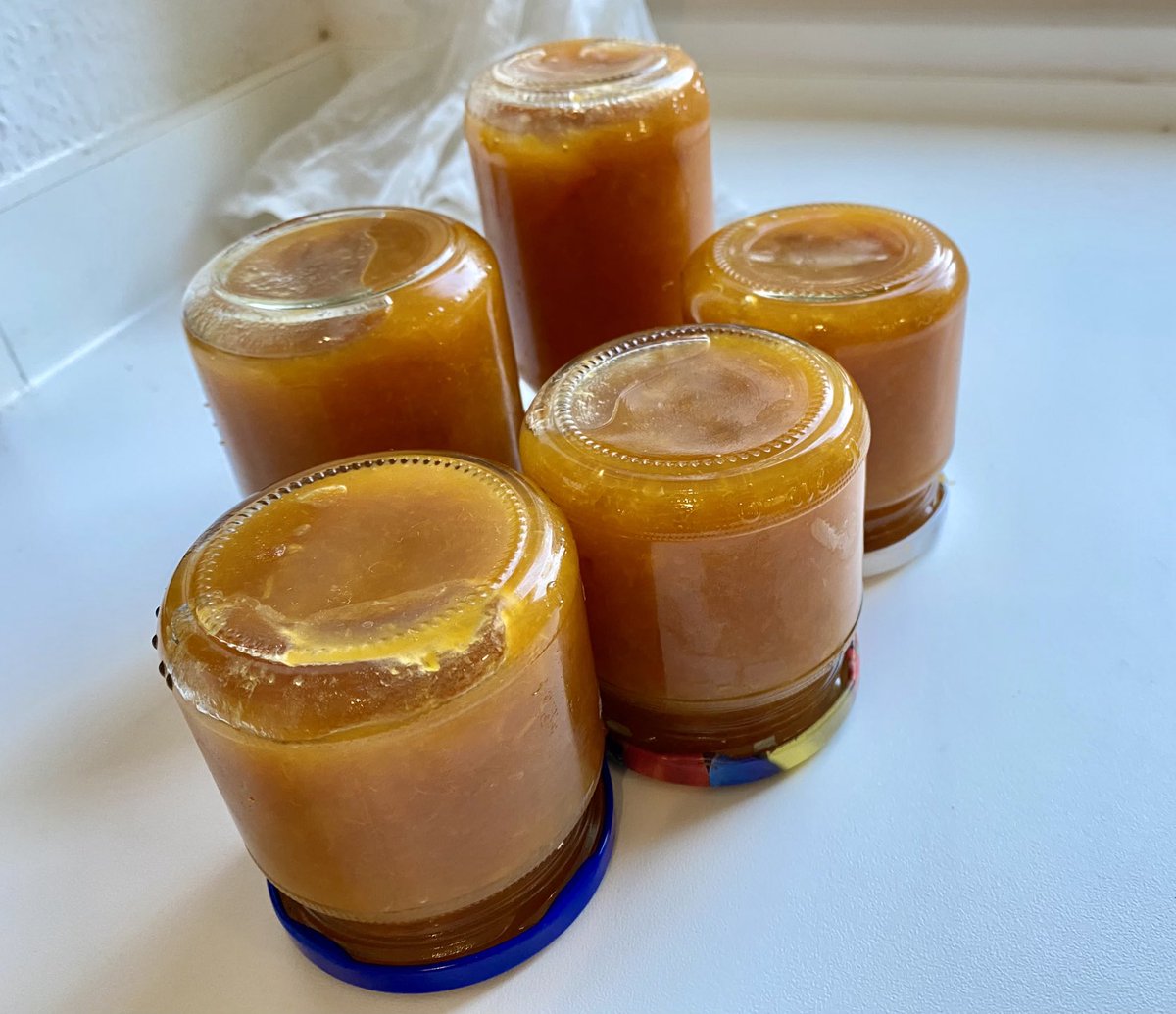 Annabaesle's tweet photo. Große Aprikosenliebe ♥️

#Marmelade #Aprikose #winteriscoming https://t.co/XVm5BrDqec