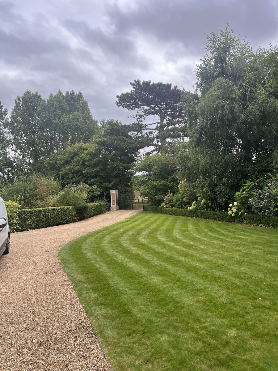 DH_Maintenance's tweet photo. This #afternoon spent doing more #weeding &amp; #clearing #cuttingback &amp; #tidying - &amp; got this one #topped #again - in an #awful state but only asked to cut it 😥 have a good evening everyone stay safe 🙏 https://t.co/MH51SfRX5V