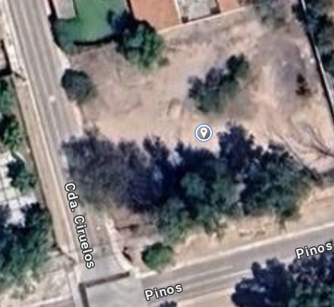 CecomJurica's tweet photo. @qromunicipio
@SSPMQueretaro
@POESQro
Solicitando su apoyo, Les compartimos que están ingresando estos vehículos al predio ubicado en Pinos esquina Ciruelos - es una zona totalmente unifamiliar y *NO comercial, En Jurica Campestre.
@vivirjurica1 https://t.co/uY8qAu89pR
