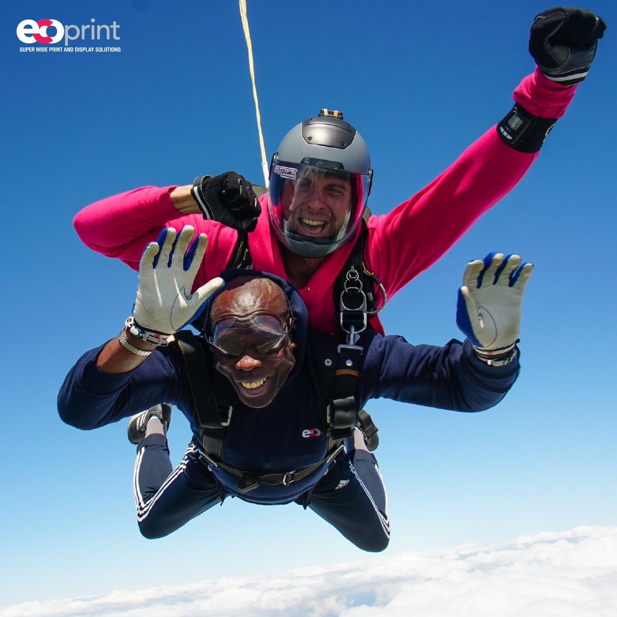 Eco Print Flags tweet media