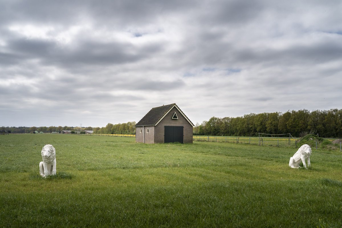 Lees terug | In tijden van afnemende biodiversiteit zijn er gelukkig ook vogels waarmee het (weer) goed gaat. Zoals de grauwe klauwier en de Turkse tortel.

noorderbreedte.nl/2022/06/28/gev…

Beeld: <a href="/reyerboxem/">reyer boxem</a>