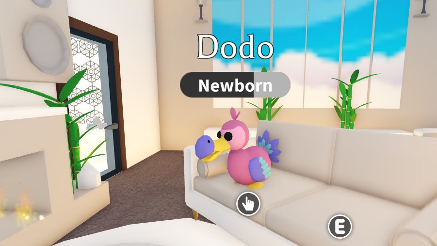 okimfinemaybe's tweet photo. dodo giveaway!

rules:

follow me

like and retweet

ends in tomorrow

kw:roblox robux rbx gw royale high adopt me mm2 rh rhd dims diamonds mfr n m mega neon fly ride high tier set sets halo halos rare item items weapons am amp pet pets mid low nfr fr f r no potion 

good luck! https://t.co/cVkEW2YPqg