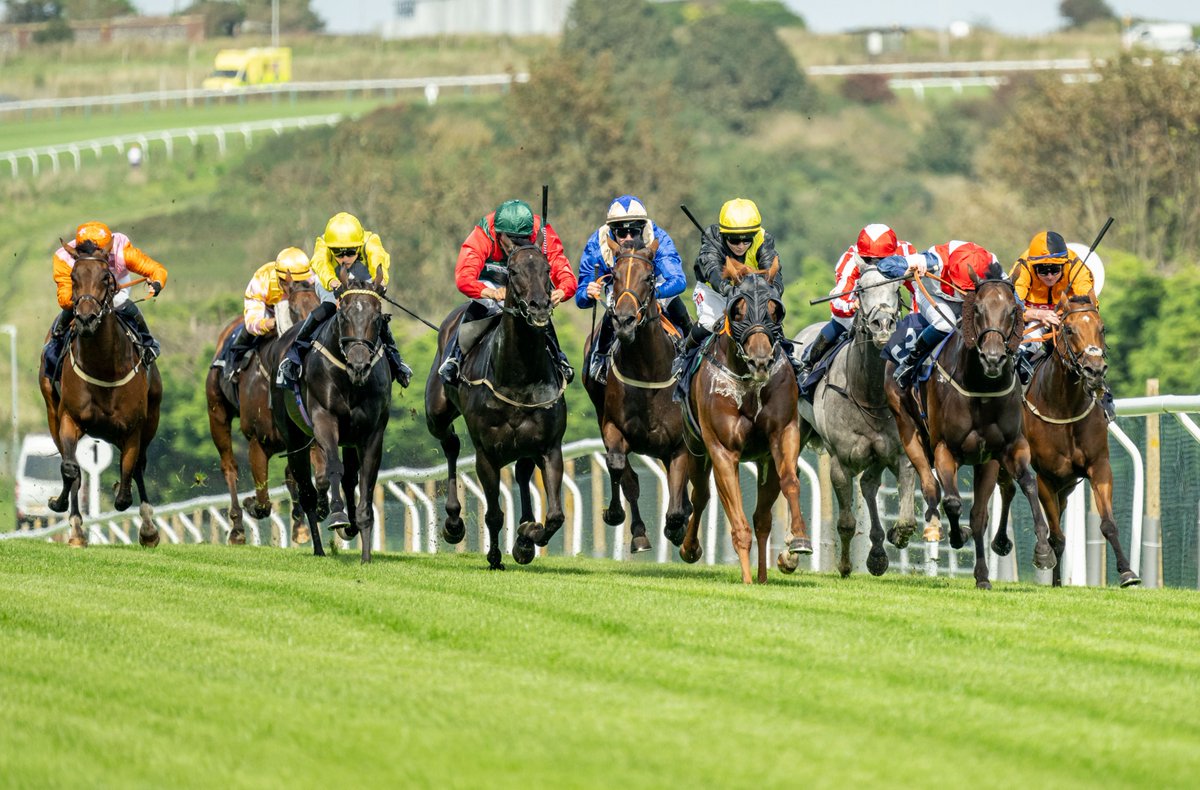 BrightonRace's tweet photo. 🍦🎡🏇FAMILY FUN DAY 🏇🎡🍦

📅Sunday 1st September
☀️Kids go FREE
🎠Bumbercarz, Inflatables, Teacups &amp; more
🏇7 thrilling races 
🏅Entire card sponsored by @Ring20UK 

Book your tickets in advance 
https://t.co/IS9FC8DAbl https://t.co/5Itbugi9K0