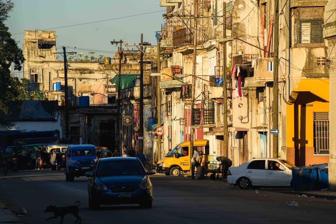 E_RdgzDavila's tweet photo. Programa Desafío - Actualización de la política para la comercialización de vehículos en Cuba

Realizaremos una transmisión especial en Facebook el viernes 23 de agosto a las 6 pm dedicada a este tema. Responderemos preguntas y analizaremos la actualización de la política 

#Cuba https://t.co/zXzACxe6p1