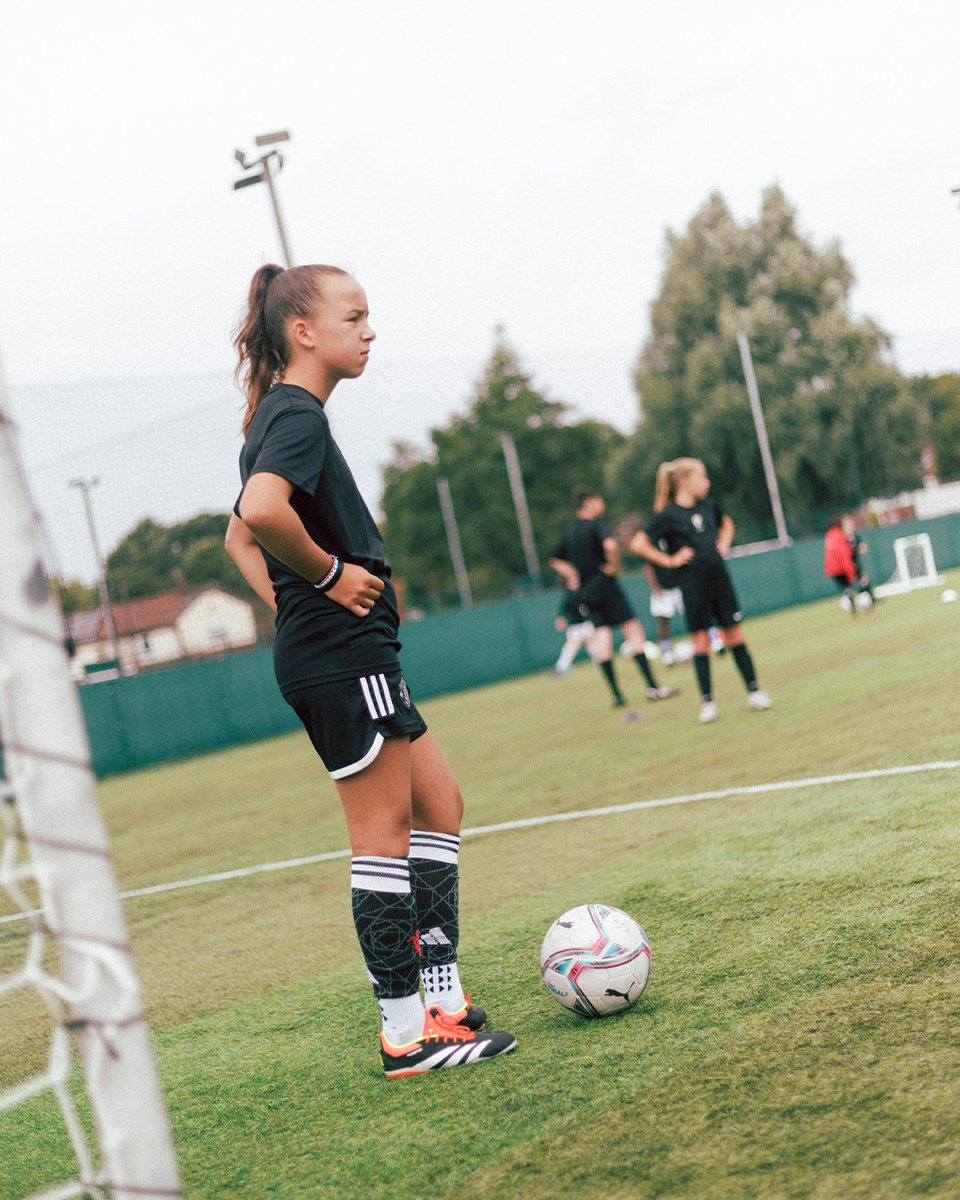 Calculated Performance tweet media